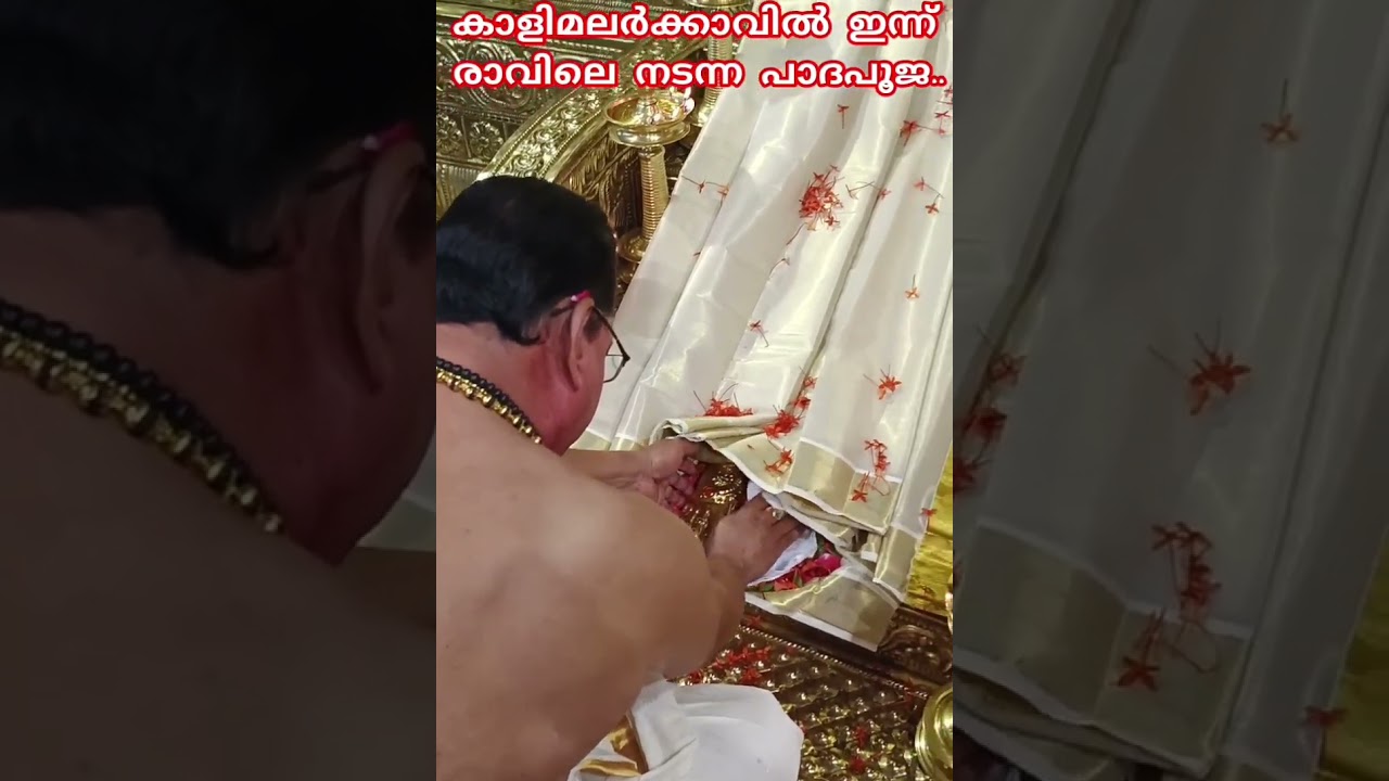 ഇന്ന് നടന്ന നാമജപം കാളിമലർ കാവിൽ വീഡിയോ മുഴുവൻ ആയിട്ട് കാണുക