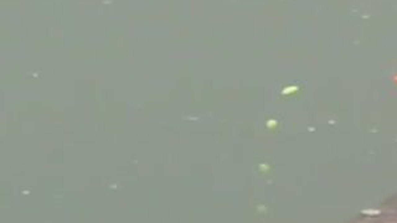 七星漂钓草边，立春后天气暖和了，又可以出来钓鱼了