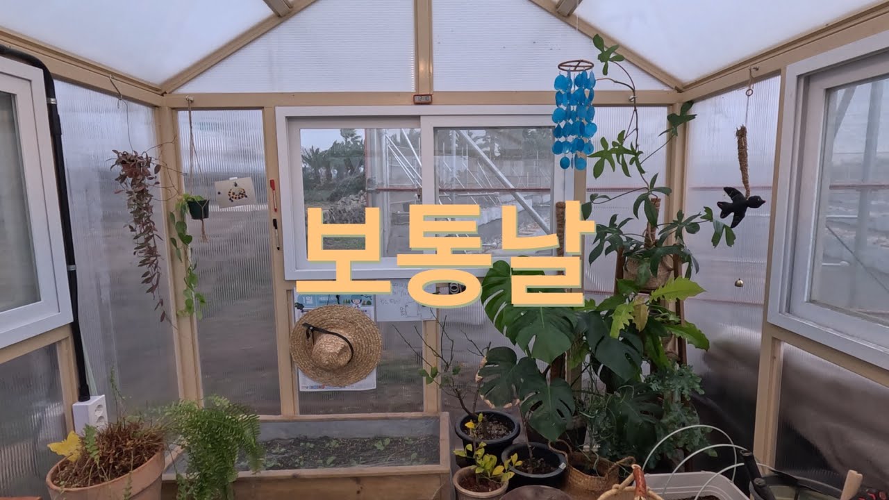 아주망의 보통날?