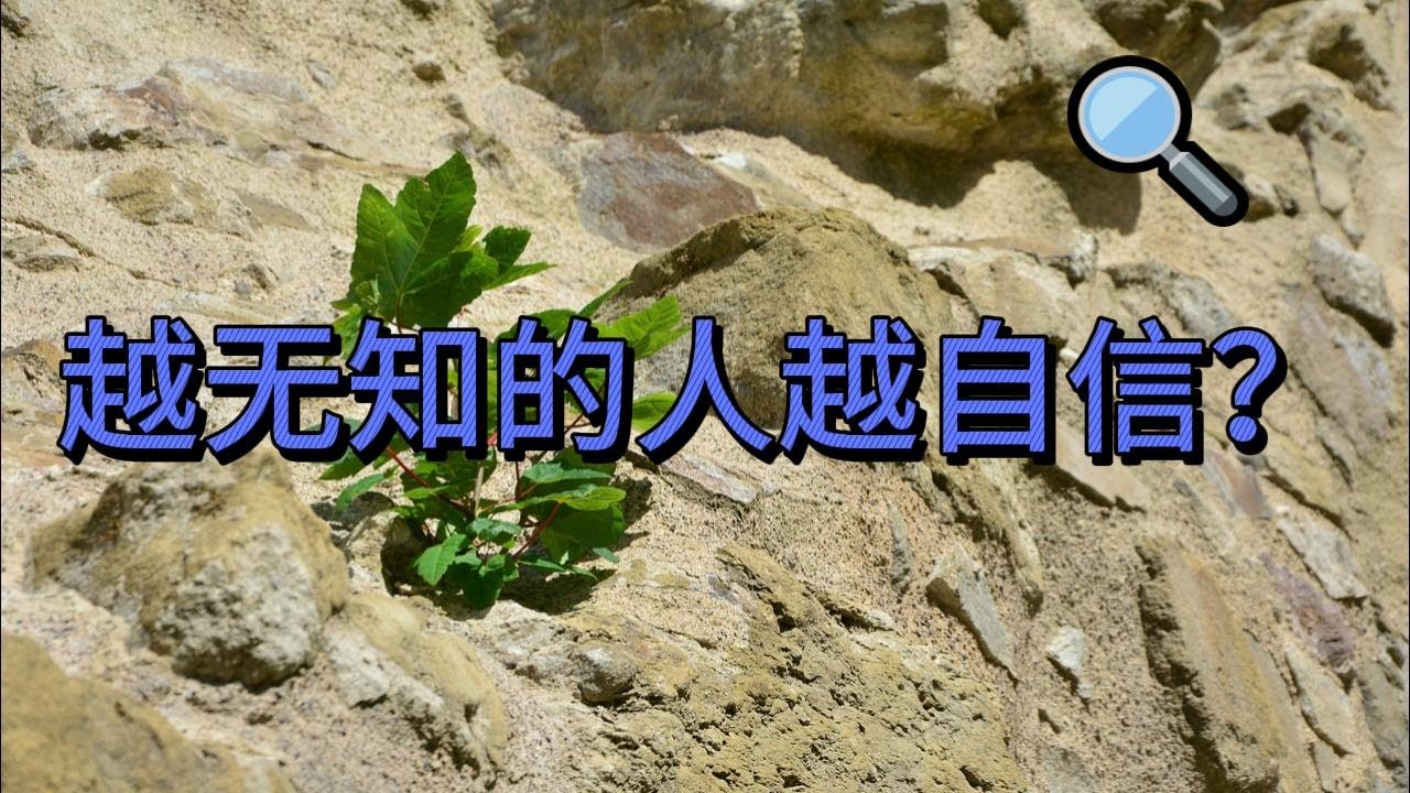 为什么说越无知的人越自信？｜每天听本书｜认知偏差｜心理学