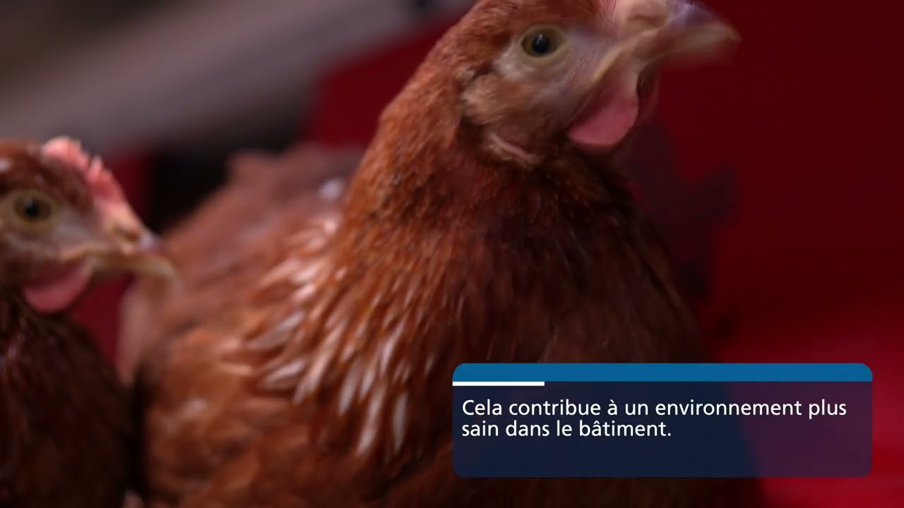 Système volière Comfort 2.0 ®