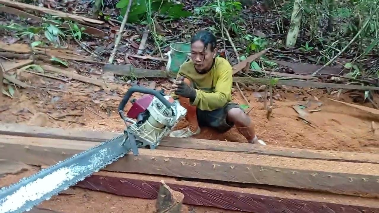 KERJA LAGI, DAN YG PUNYA LAHAN NEBAS UTK LADANG