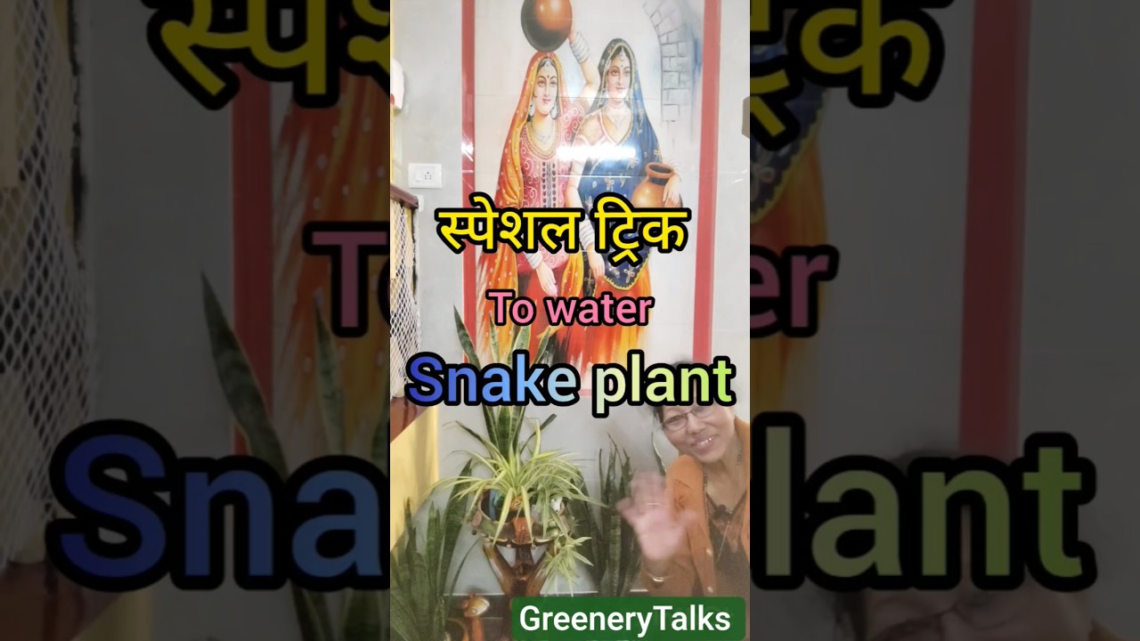 Here is a special trick to water snake 🌵☘️