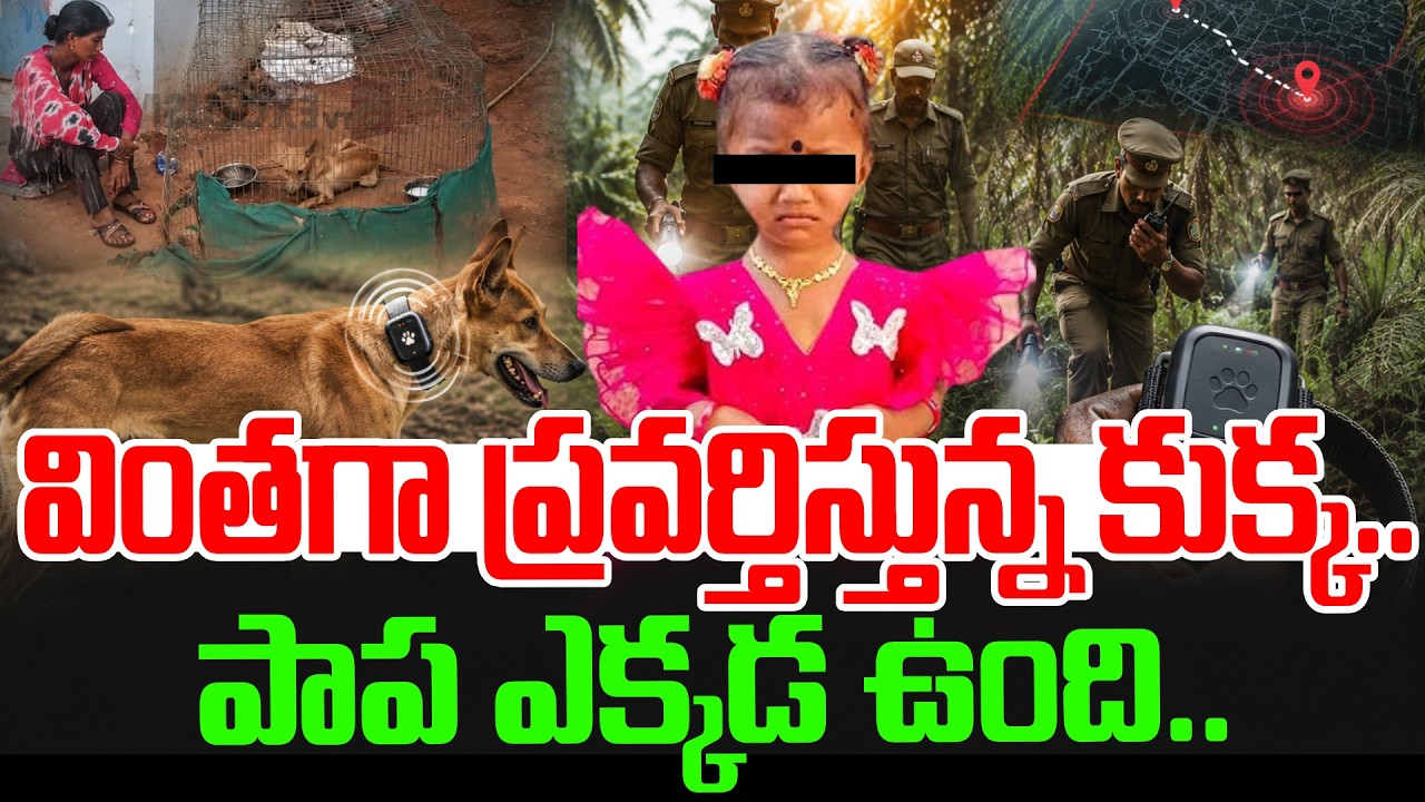 🔴Live:Tuni Gnaneswari Missing Case Latest Updates | Kakinada Jahnavi Missing Incident | SumanTV Sai