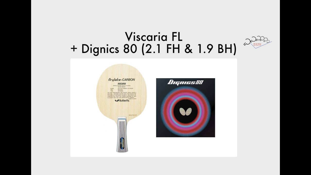 Viscaria FL + Dignics 80 (2.1 FH & 1.9 BH)