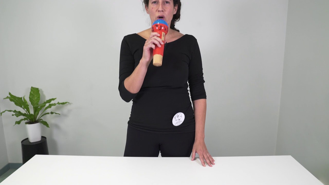 Mighty echo microphone