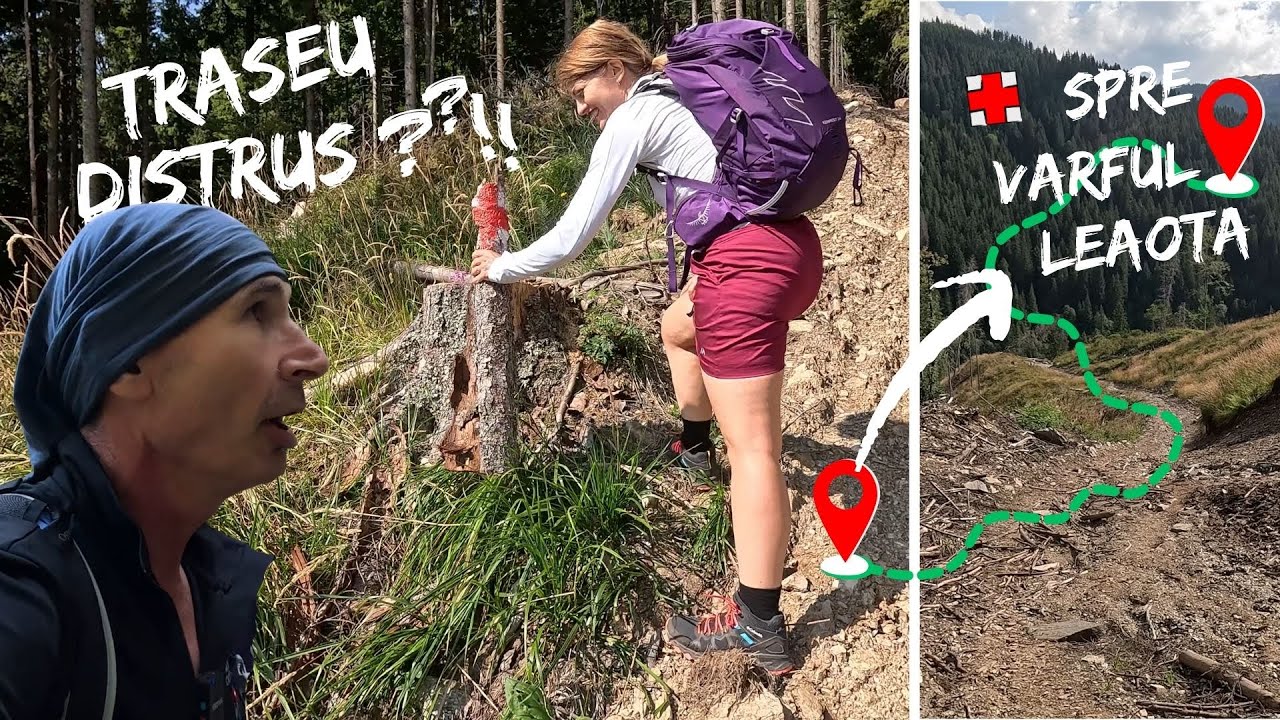 Varful Leaota pe cel mai scurt traseu | Drumetie pe munte - Romania