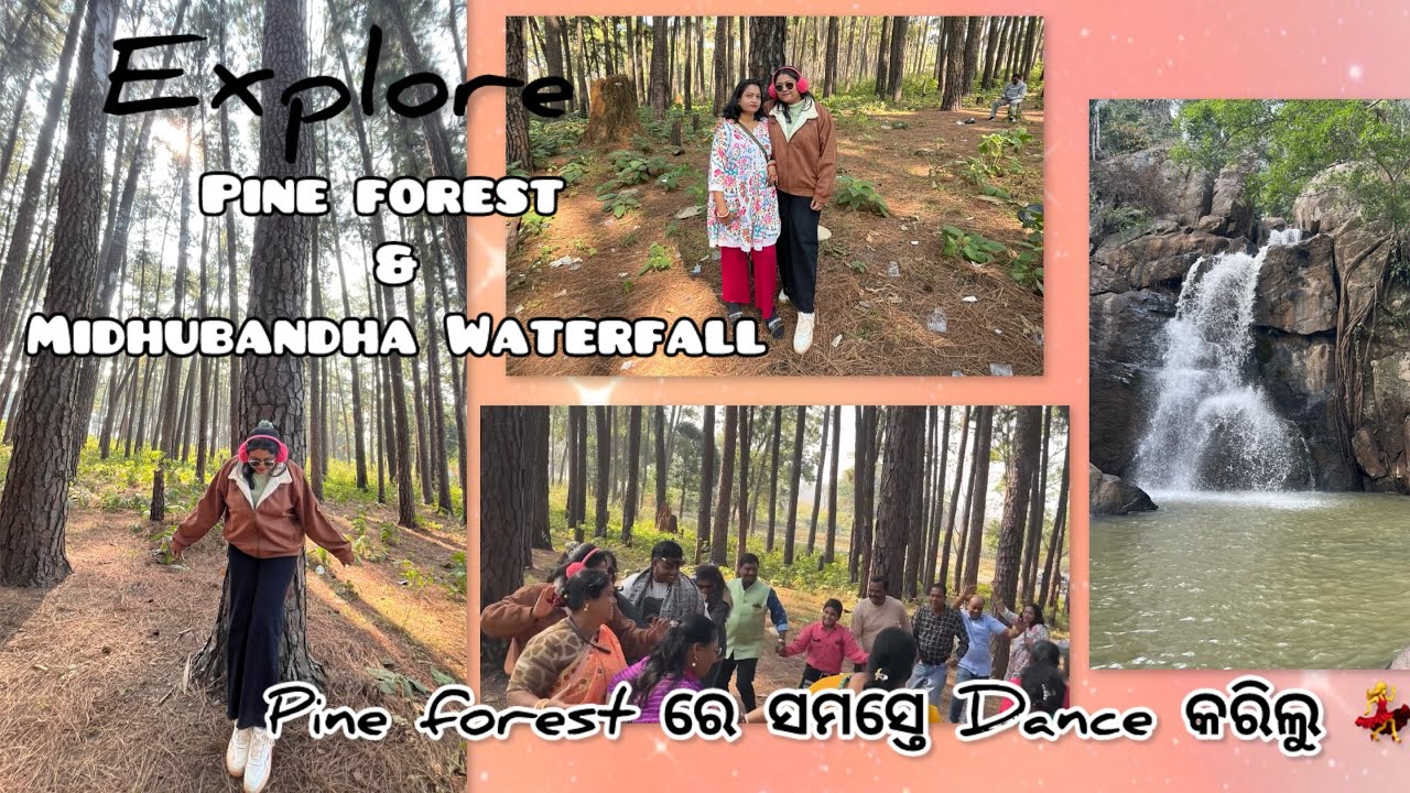 Explore Pine Forest & Midhubandha Waterfall in Daringbadi!❤️✨