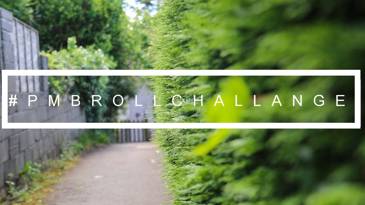 #pmbrollchallange | lane
