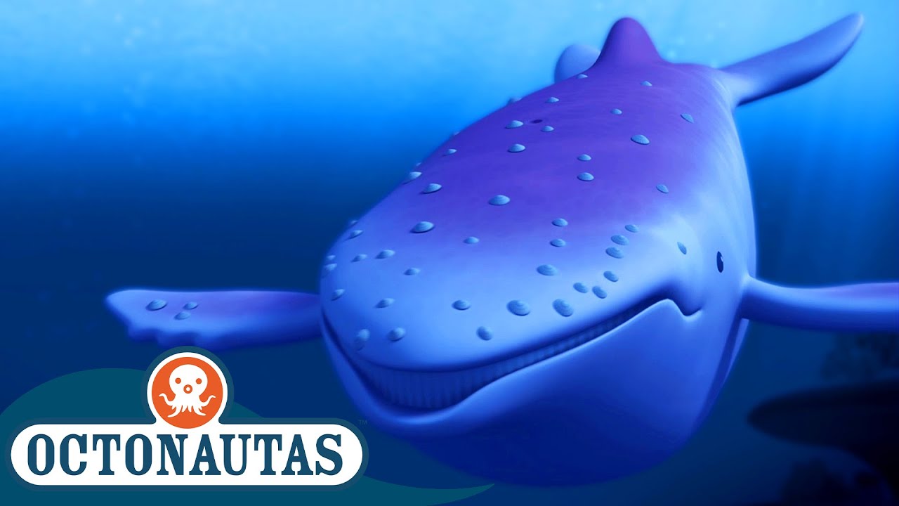 Octonautas - A Baleia Jubarte Albina 🐋 | Episódio inteiro 11 | Primeira Temporada