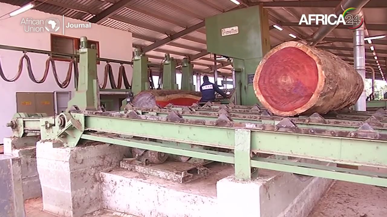 Afrique : 400 millions USD recherchés pour une gestion durable des forêts