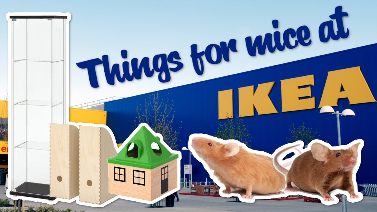 Things you can buy at IKEA for Mice