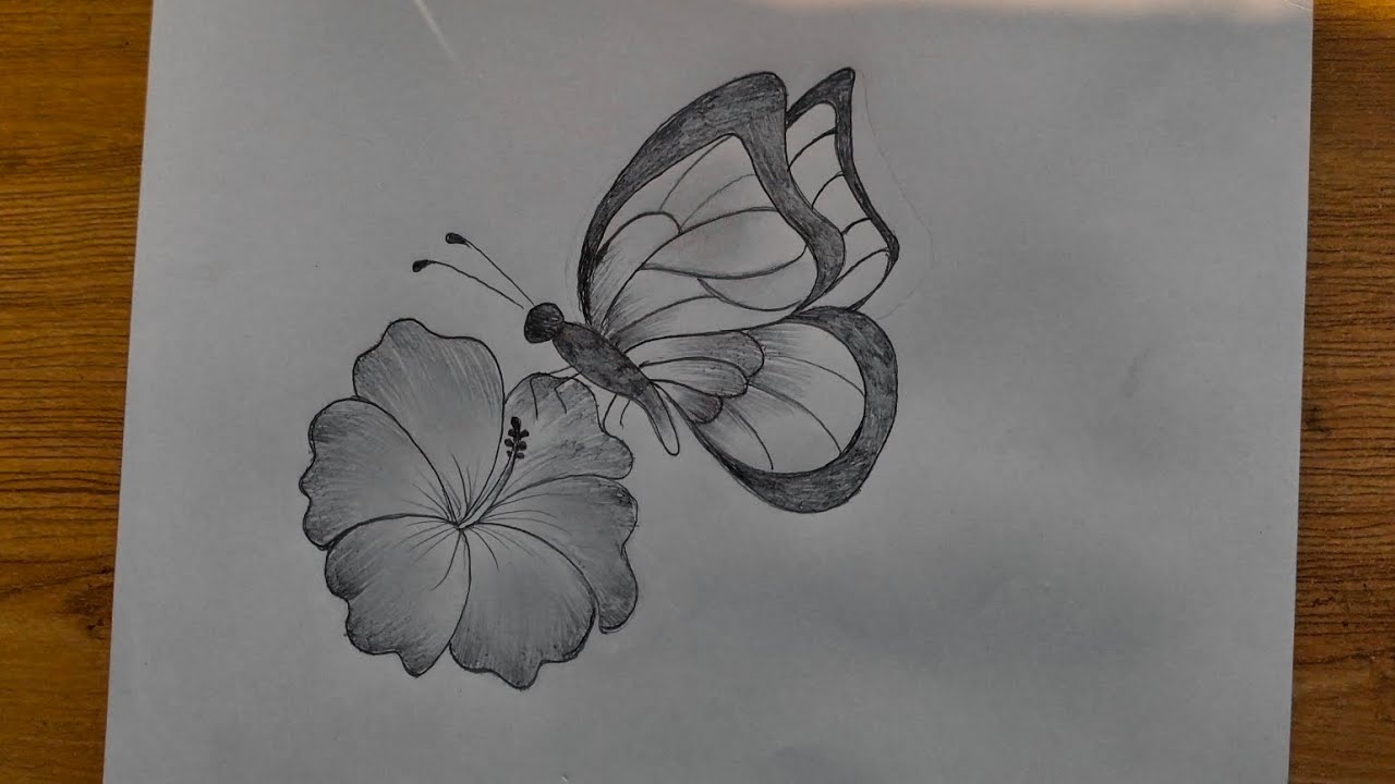 Beautiful Butterfly and hibiscus flower drawing tutorial step by step easily 