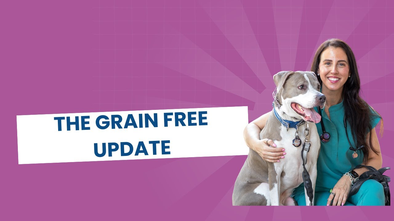 The Grain Free Update
