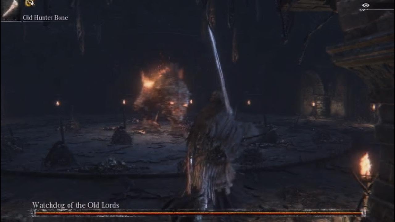 Bloodborne Moments!!