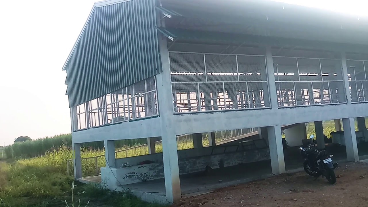 Hi Tech Goat Farm.Thirumangalam 9788770786