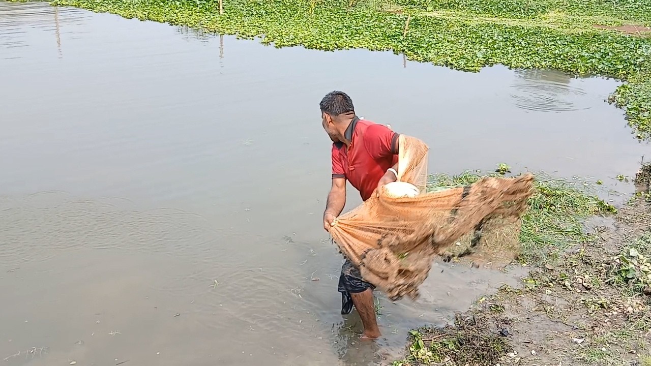 Amazing Village Fishing Video - Traditional Cast Net Fishing Video - Village Net Fishing Video