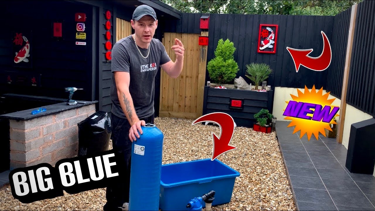 ***NEW KOI***BIG BLUE**BLUELAB PH READER***I AM READY TO BRING MY KOI BACK HOME!!!