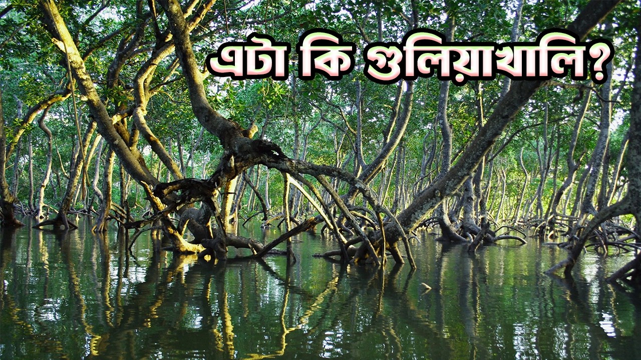 Guliakhali Sea Beach 2026 | Adventure Travel | Day Tour | যেখানে হরিণ থাকে আর শিয়াল ডাকে দিনে-দুপুরে