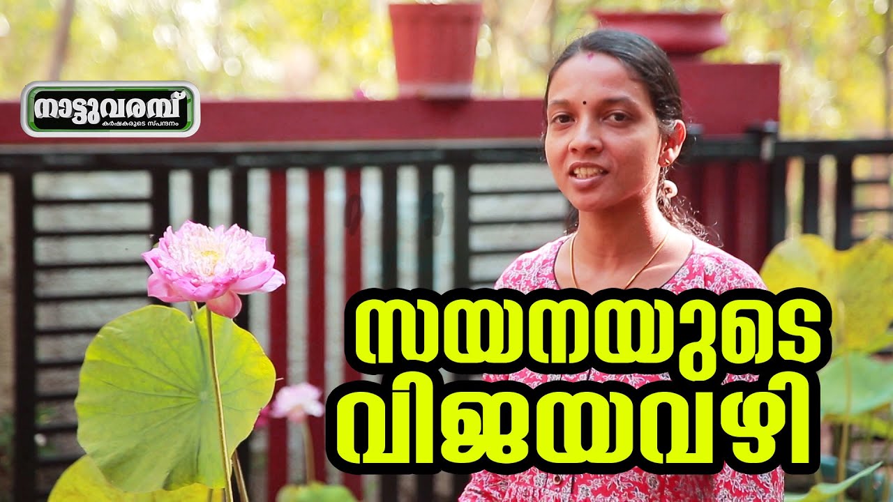 സയനയുടെ വിജയവഴി | SAYANA ANIL | LOTUS & WATERLILY CULTIVATION | KATTAKKADA | NATTUVARAMBU | JANAM TV