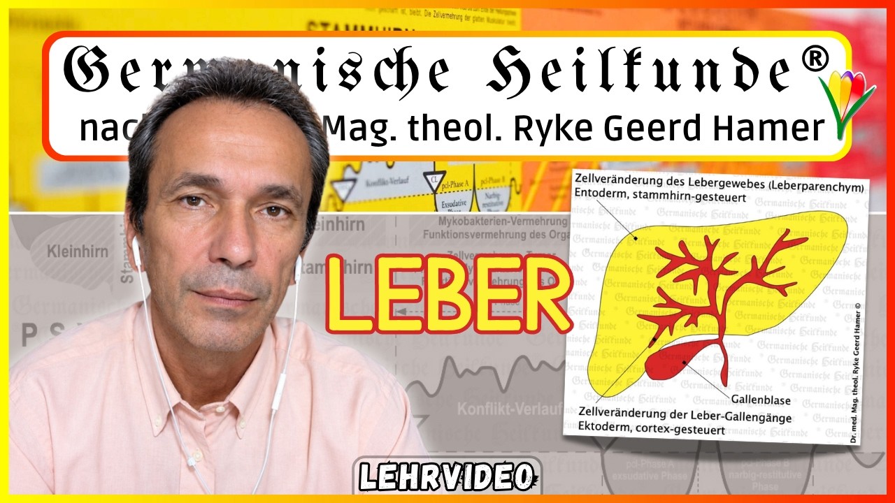 Leber ⎮ Lehrvideo ⎮ Germanische Heilkunde&reg;