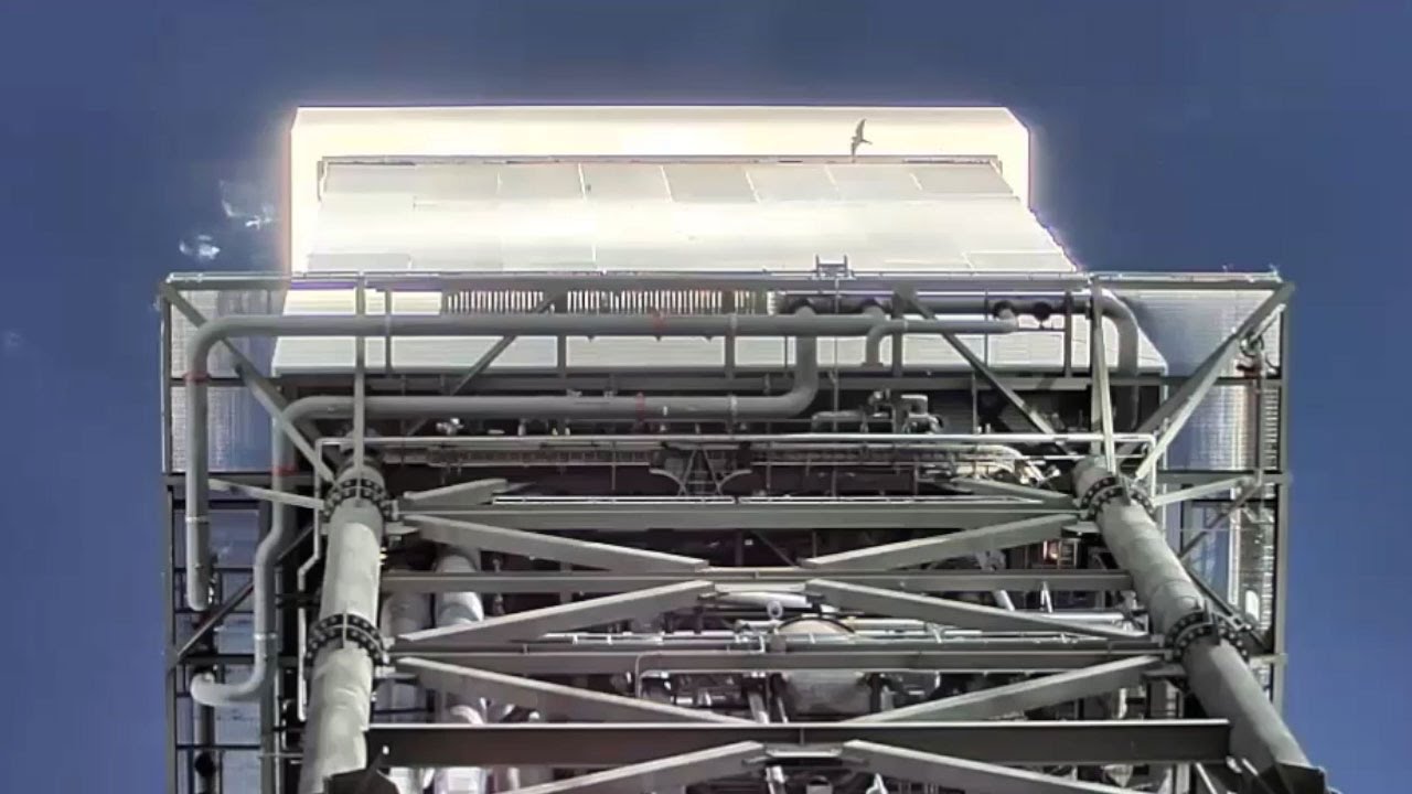 Insects and birds affected by Ivanpah solar tower