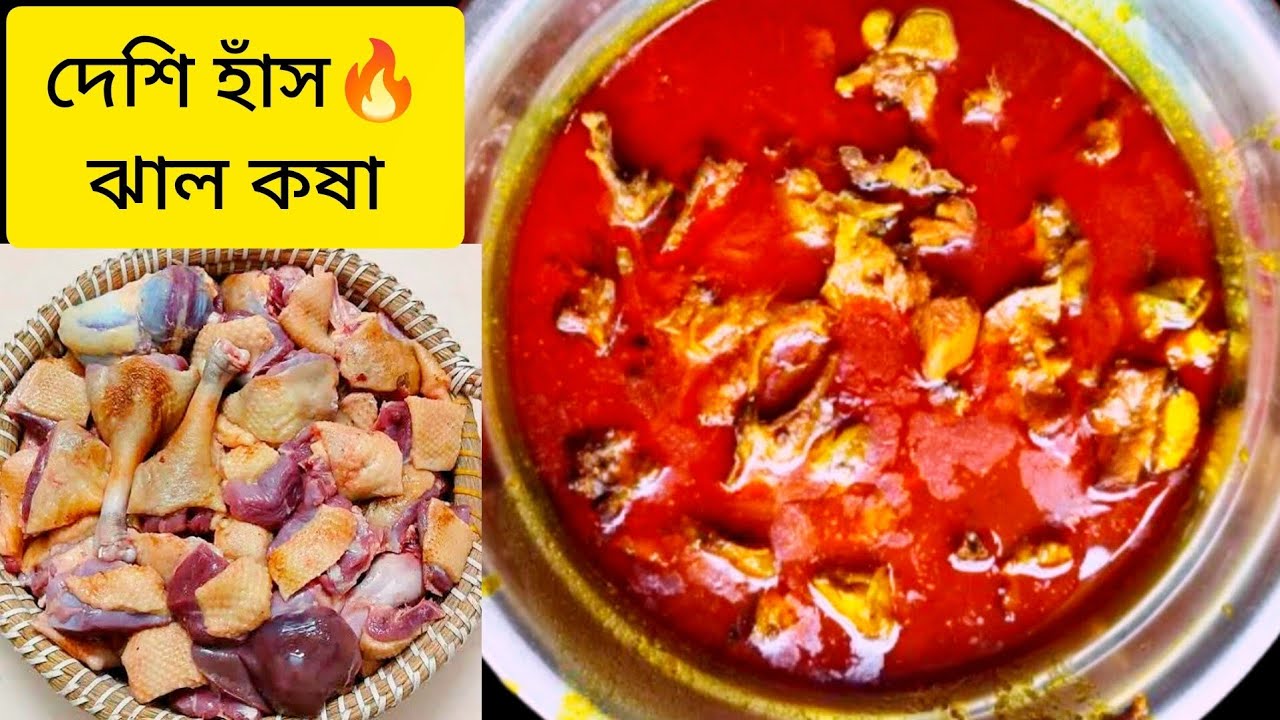সেরা স্বাদে হাঁসের মাংস কষা রেসিপি | Duck Curry Recipe