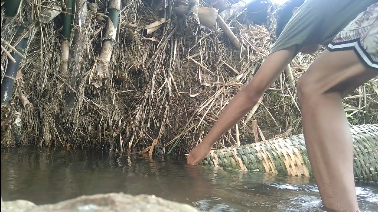 old or new age of fishtrapping this bamboo fishtrap is the best of both worlds,let's see😆
