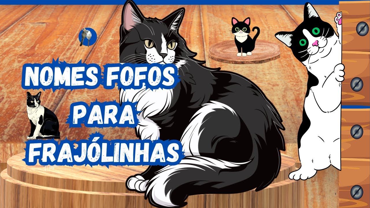 NOMES para gatos FRAJÓLINHAS machos e fêmeas.