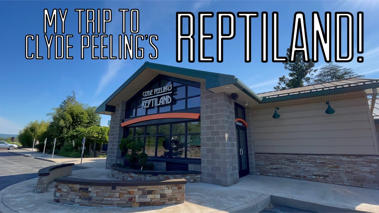 My Trip to Clyde Peeling's Reptiland!