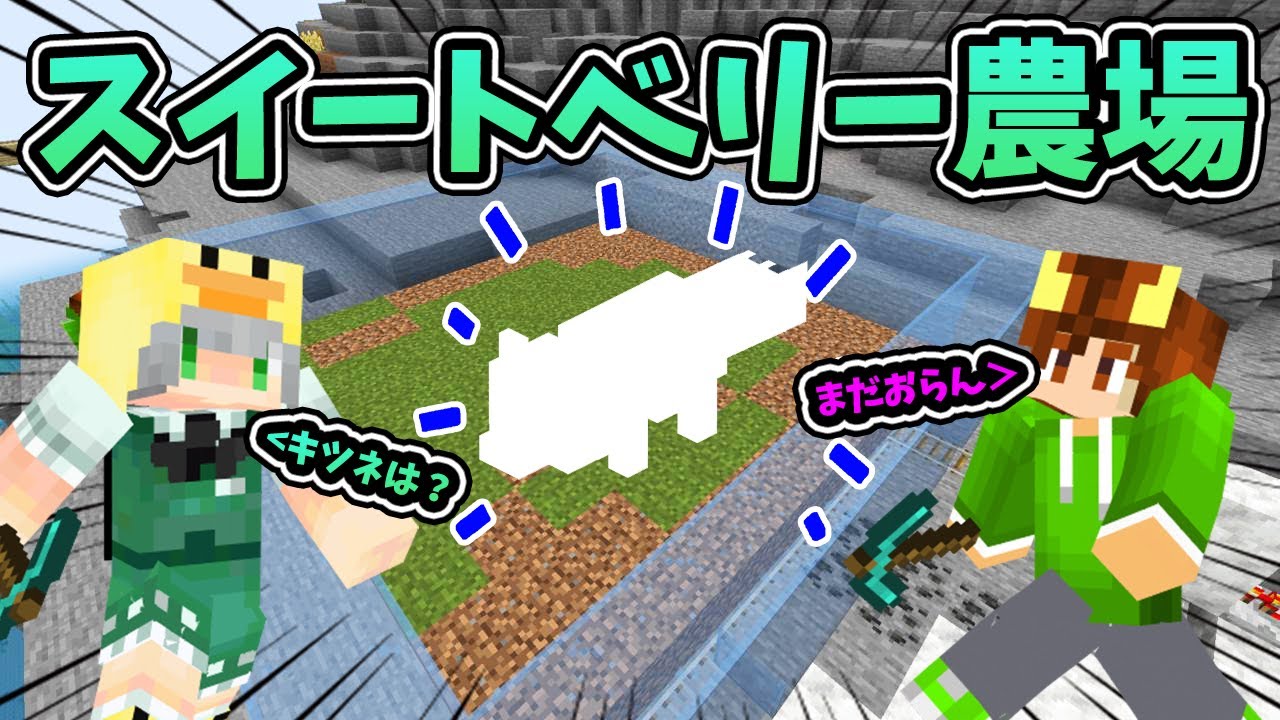 【ぽこくらシーズン3 第14話】全自動！超効率的なスイートベリー農場の作り方【 前編 】┃マイクラ建築 ゆっくり実況プレイ