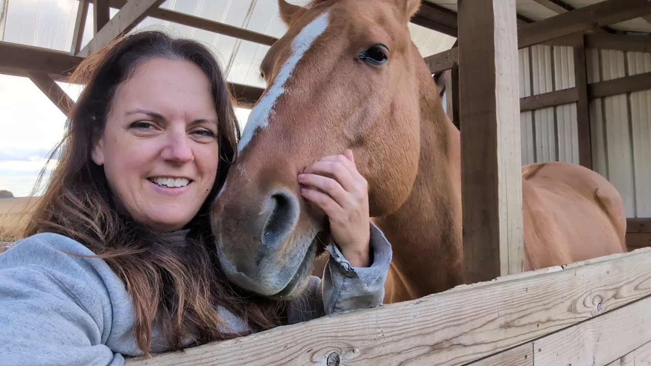 Horse love #horses #farmlife