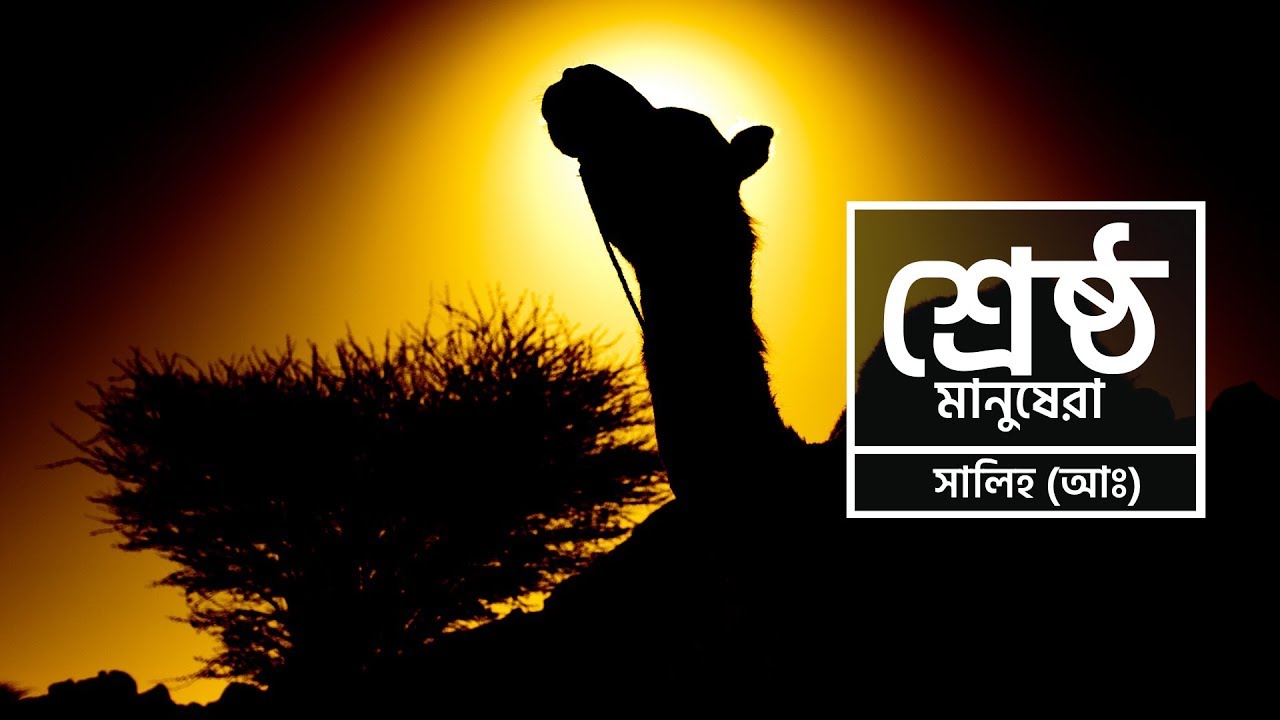 শ্রেষ্ঠ মানুষেরা - [পর্ব ৭] - সালিহ (আঃ)