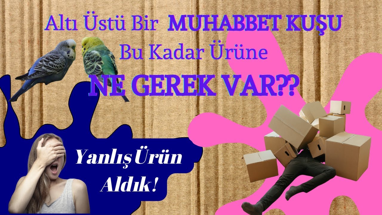 MUHABBET KUŞU PET SHOP ALIŞVERİŞİ KUTU AÇILIMI | Muhabbet Kuşu Bakımı