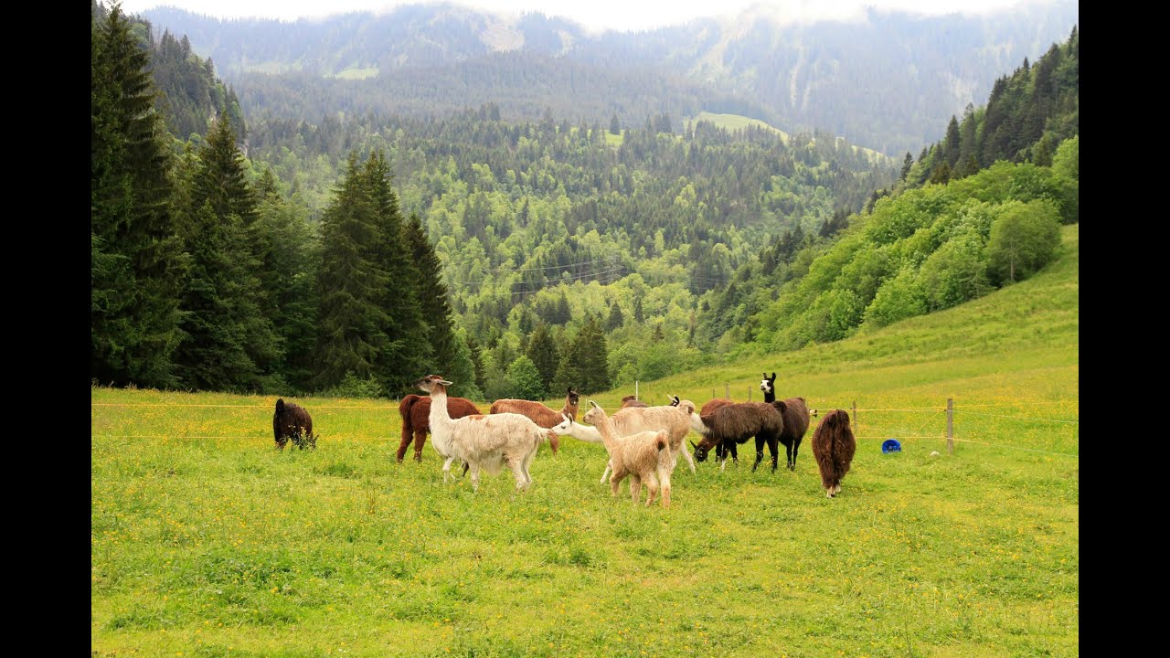 Schweiz (Entlebuch) - Das Biosphärenreservat