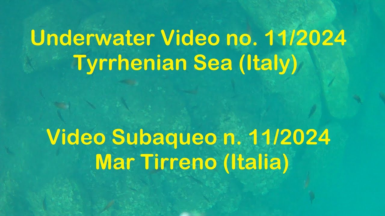 Video Subacqueo n. 11/24 - Mar Tirreno / Underwater Video no. 11/24 - Tyrrhenian Sea (Italy)