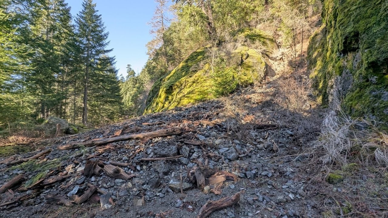 Towards the Edge of the Fire Zone - E&N Railway