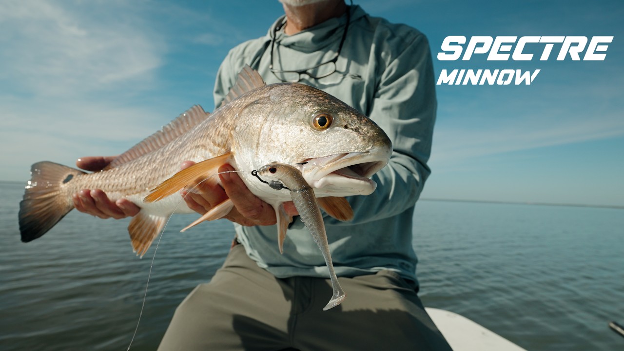 Nomad Design Live Ops Spectre Minnow Paddle Tail Soft Plastic | Finesse Inshore Action