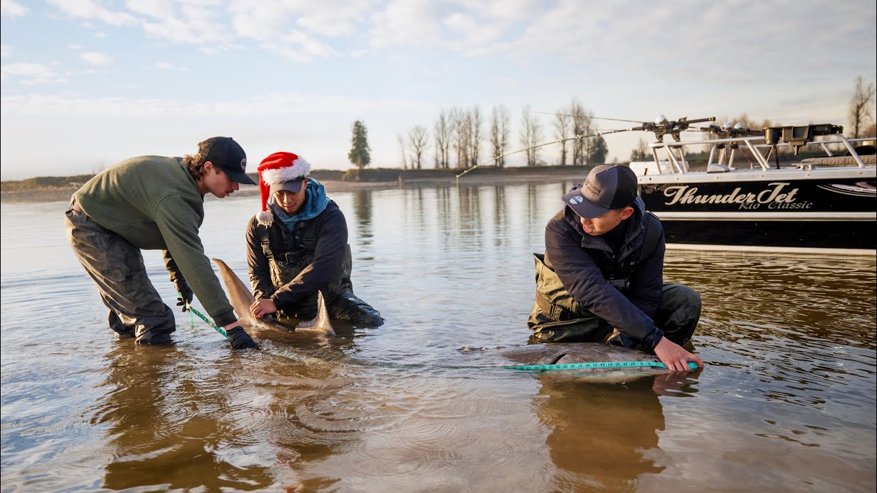 Sturgeon Fishing is Next Level! | EP51