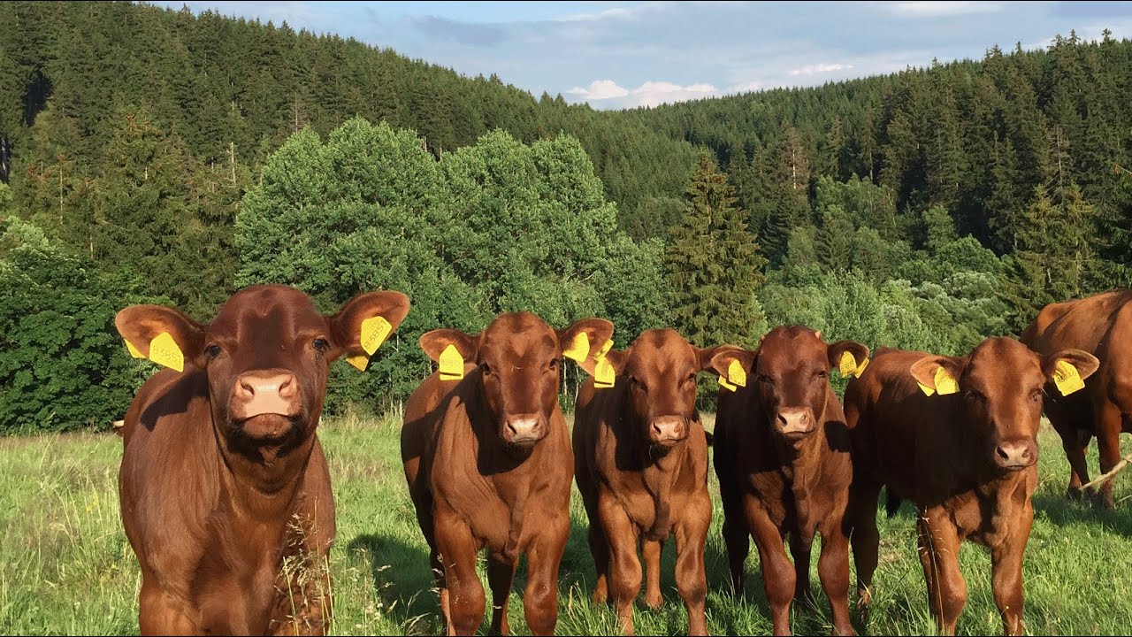Siegeridee „Alles aus einer Hand!“ - DVL-Ideenwettbewerb Bioökonomie in den Mittelgebirgen 2021