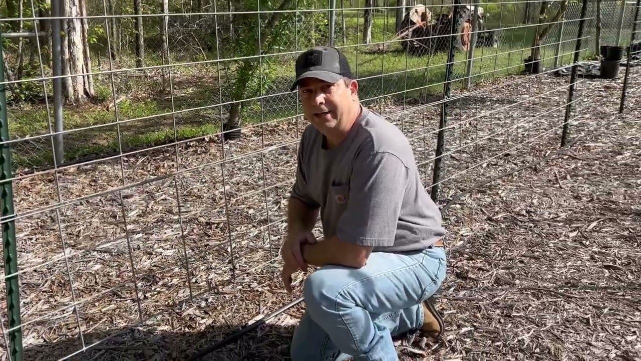 Planting Our Spring Garden