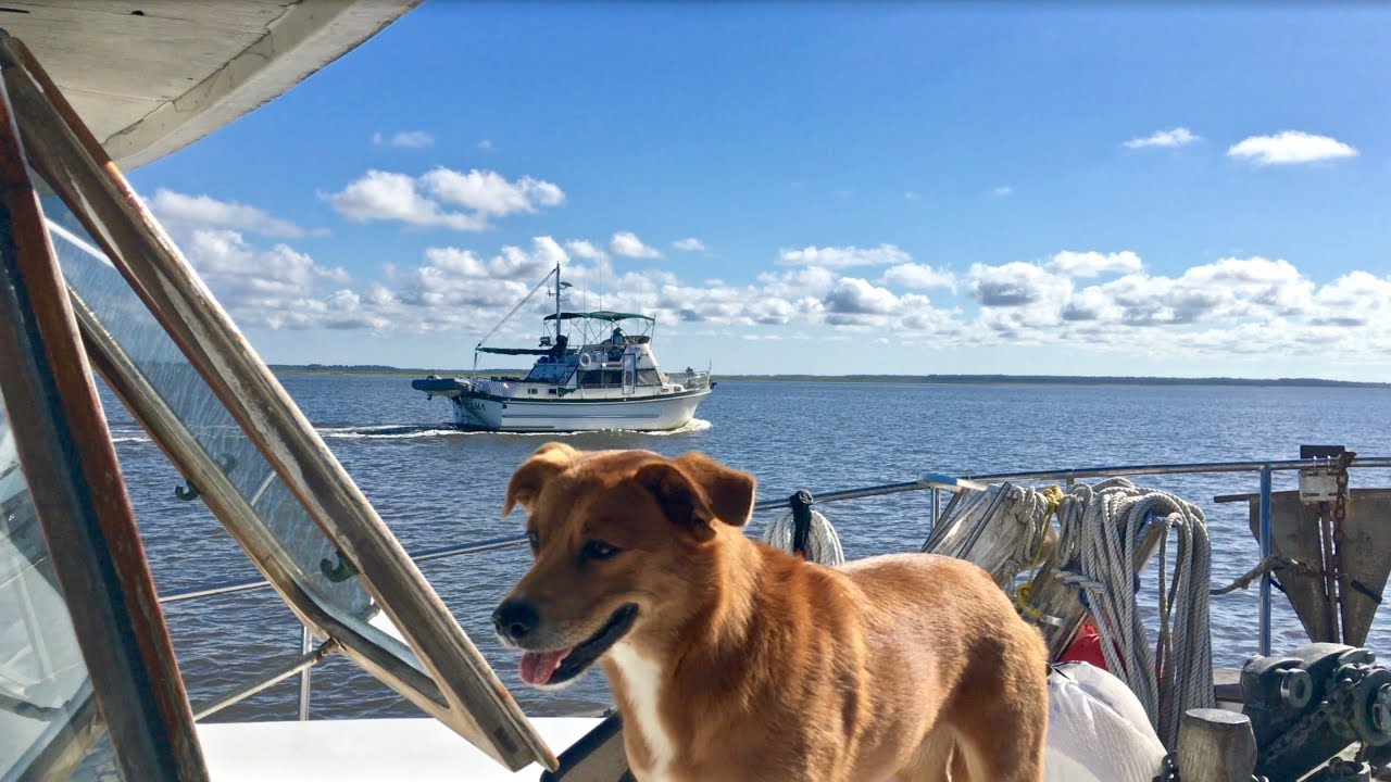 Intracoastal Waterway Georgia - South Carolina!