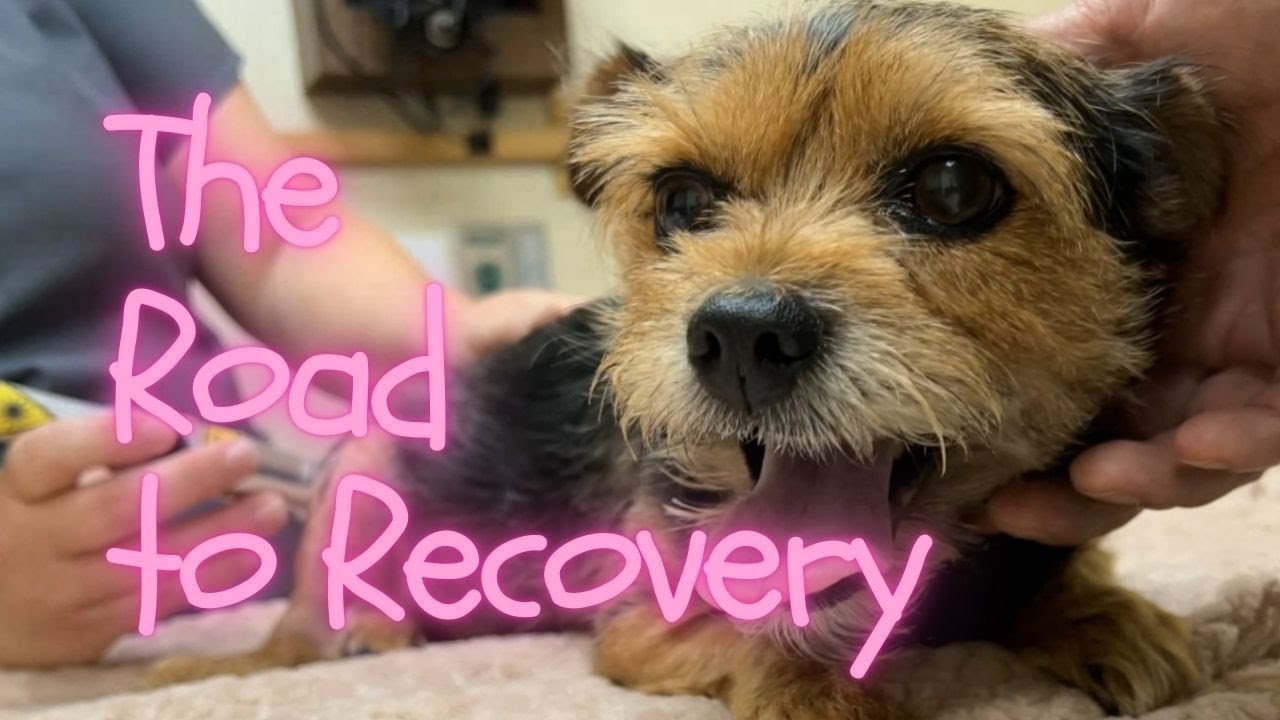Bernice's Road to Recovery Begins