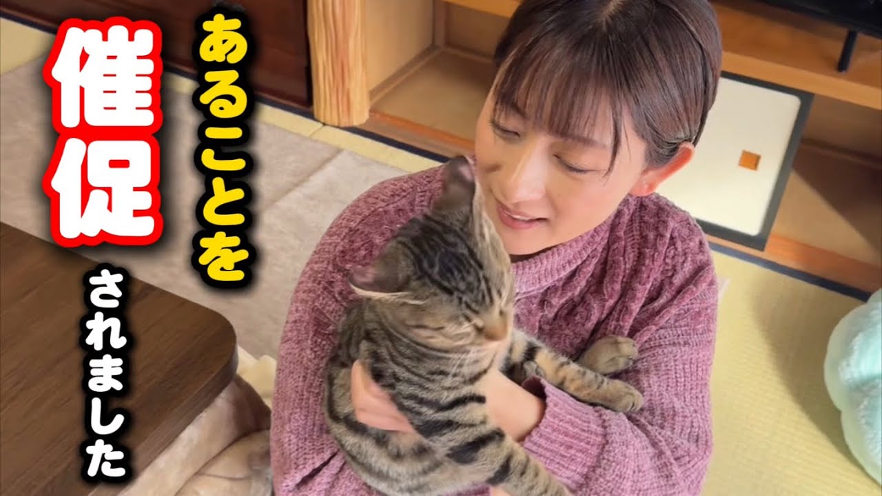子猫から爪切りを催促されてしまった母ちゃん
