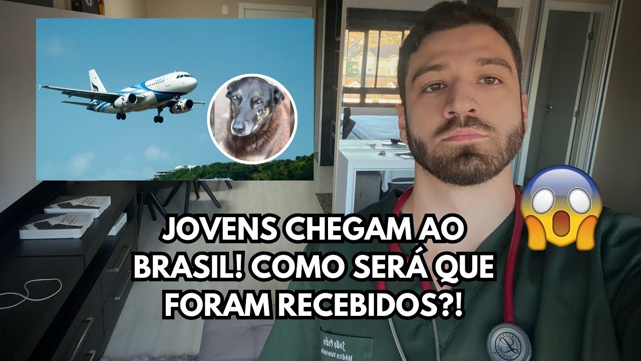 Caso Cão Orelha: os dois jovens retornam ao Brasil e a revolta só cresce