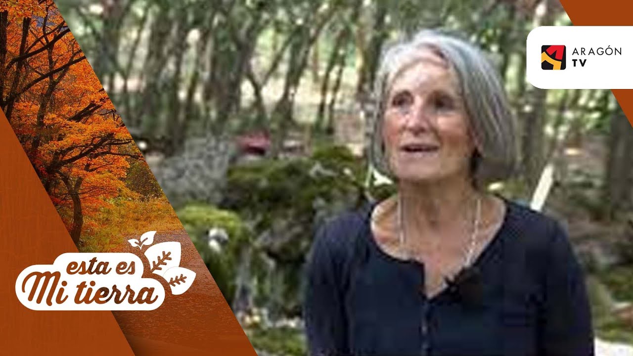 Un bosque encantado en Bronchales