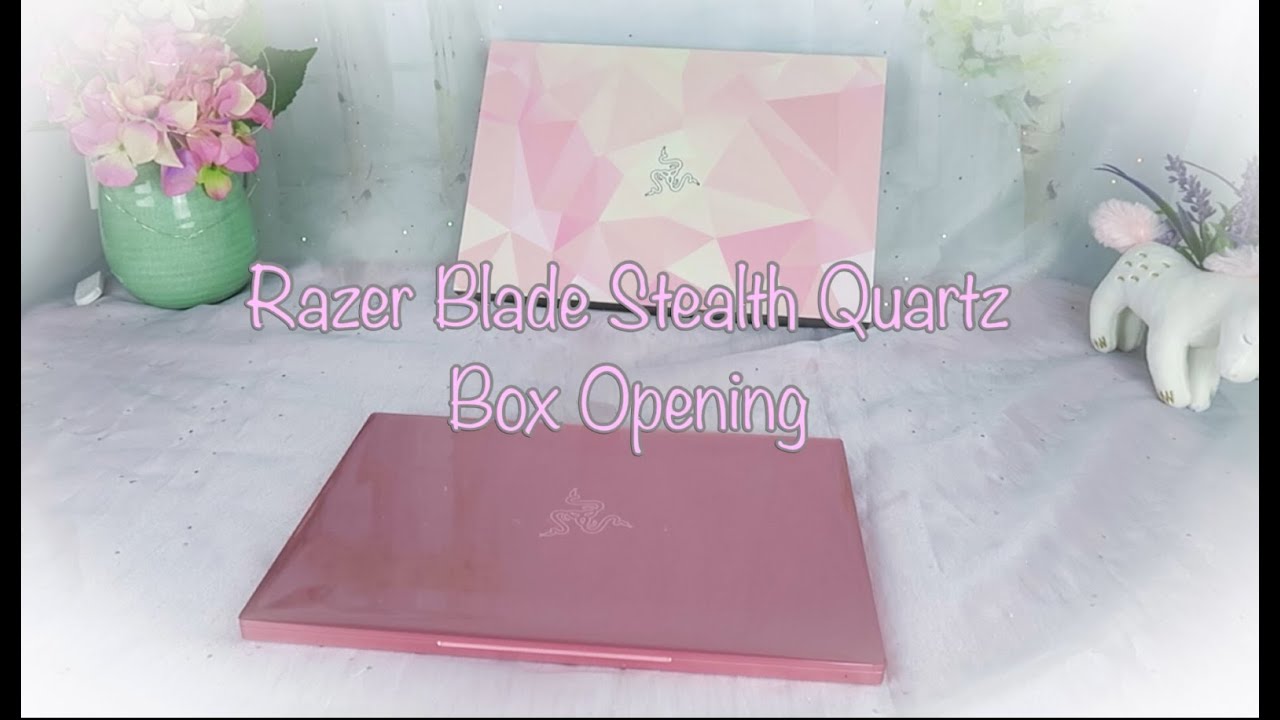Razer Blade Stealth 2019 Quartz Box Opening