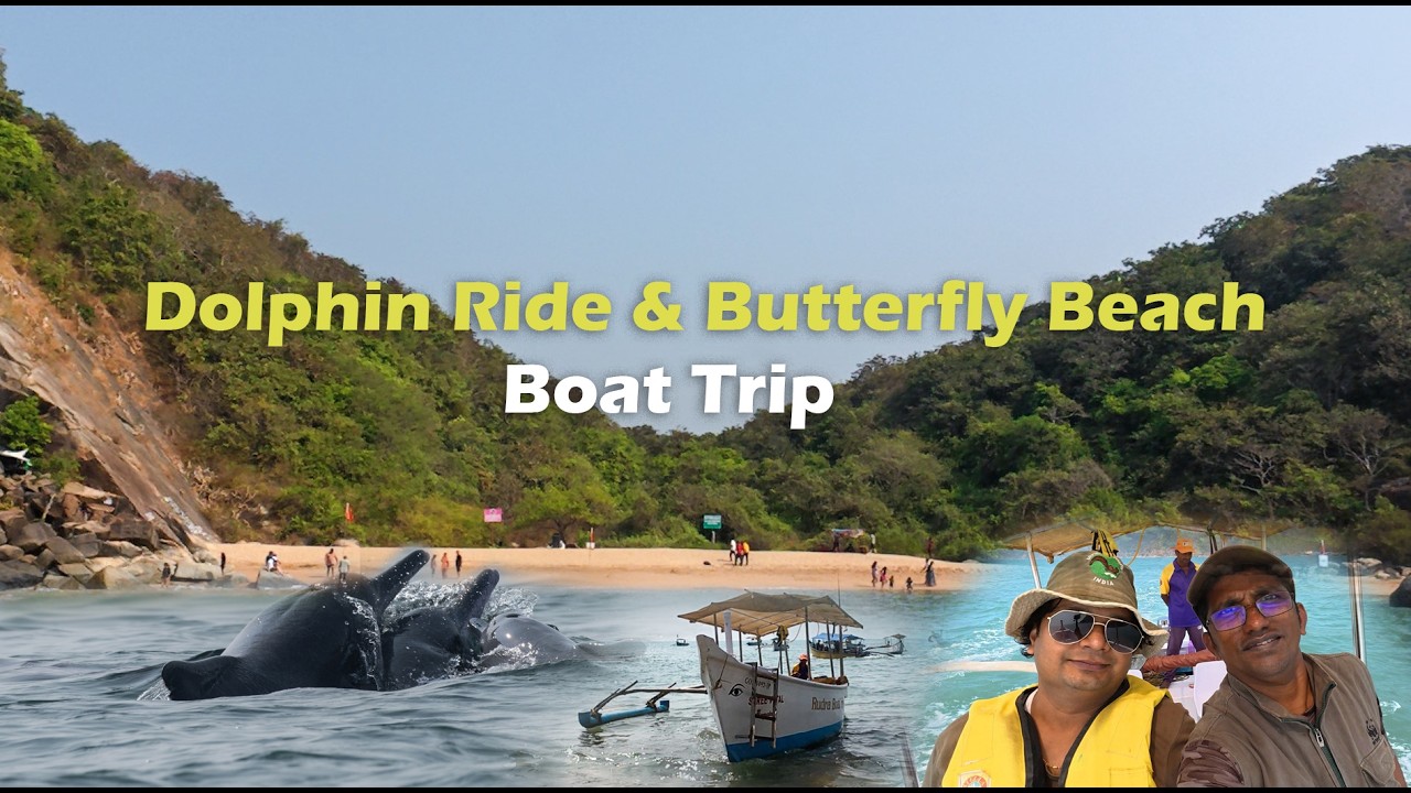 Dolphin Ride & Butterfly Beach
