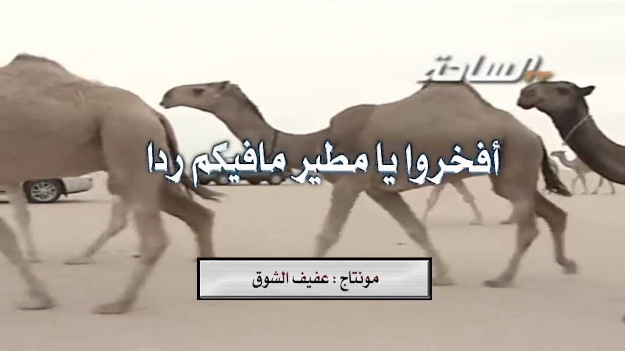 جديد وحصري _شيلة : أفخروا يامطير مافيكم ردا_منقية الشيخ:شبيب بن غيام المطيري_أداء:ناصر السيحاني 2014