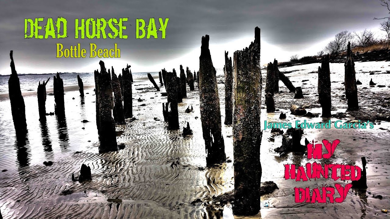 Dead Horse Bay Bottle Beach Exploration Urbex My Haunted Diary